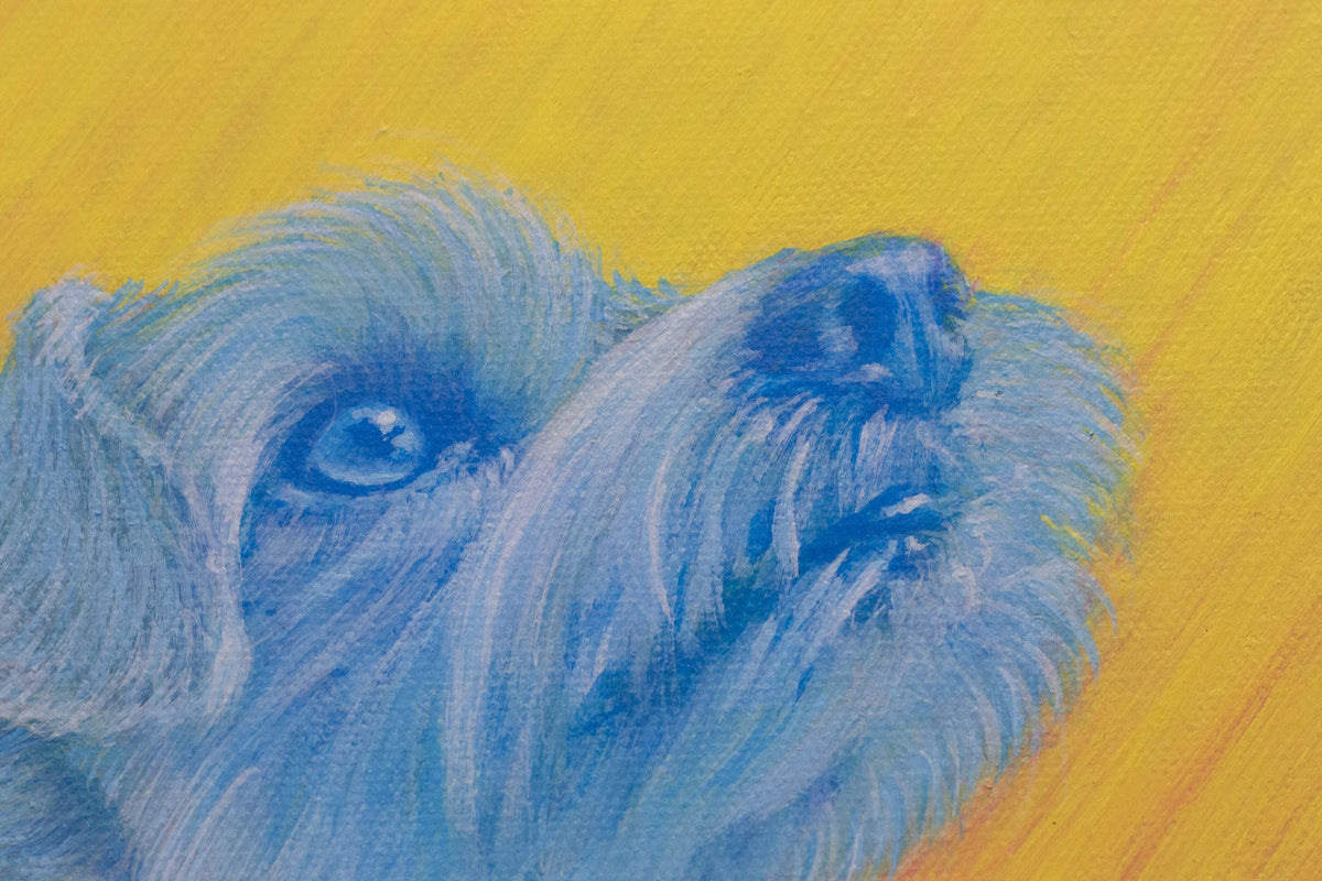 RETRATOS DE PERRITOS