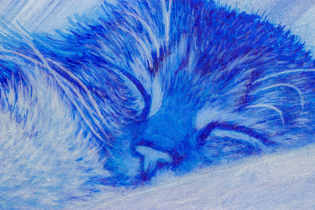 RETRATOS DE GATITOS